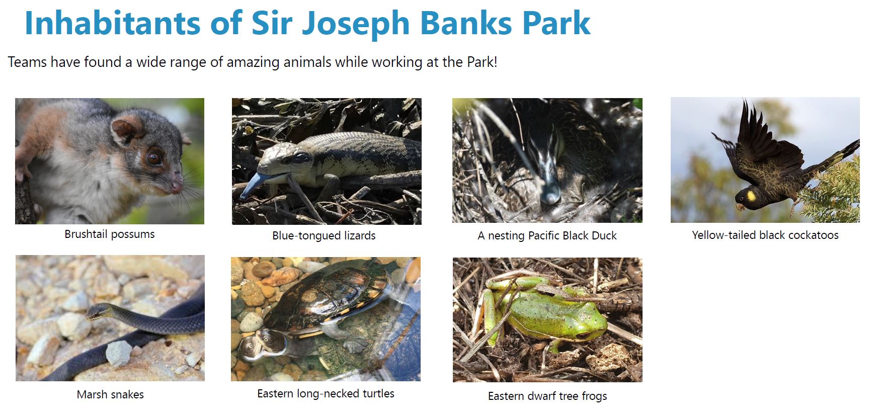 Rehabilitate Sir Joseph Banks Park