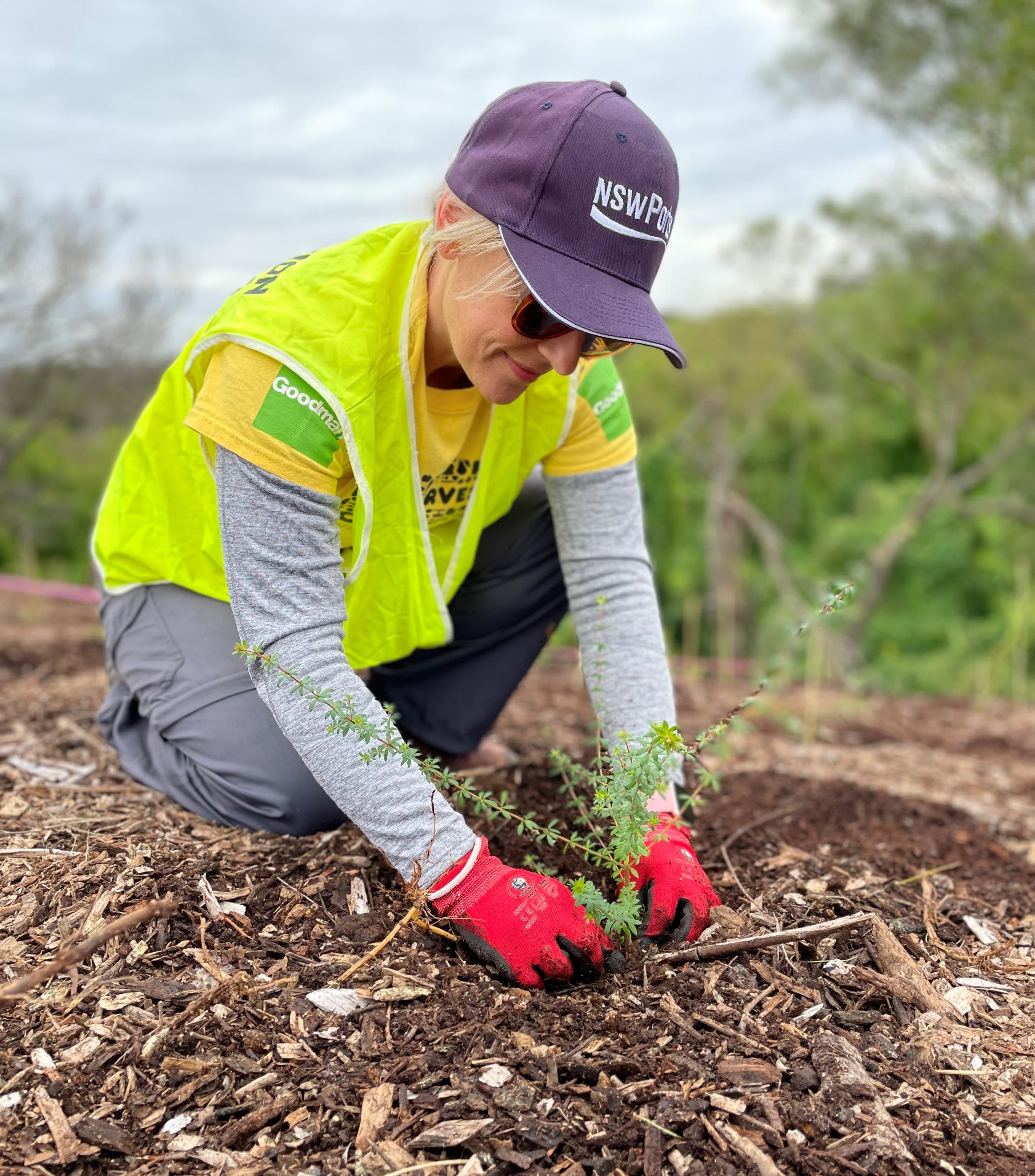 Ports Staff Tree Planting