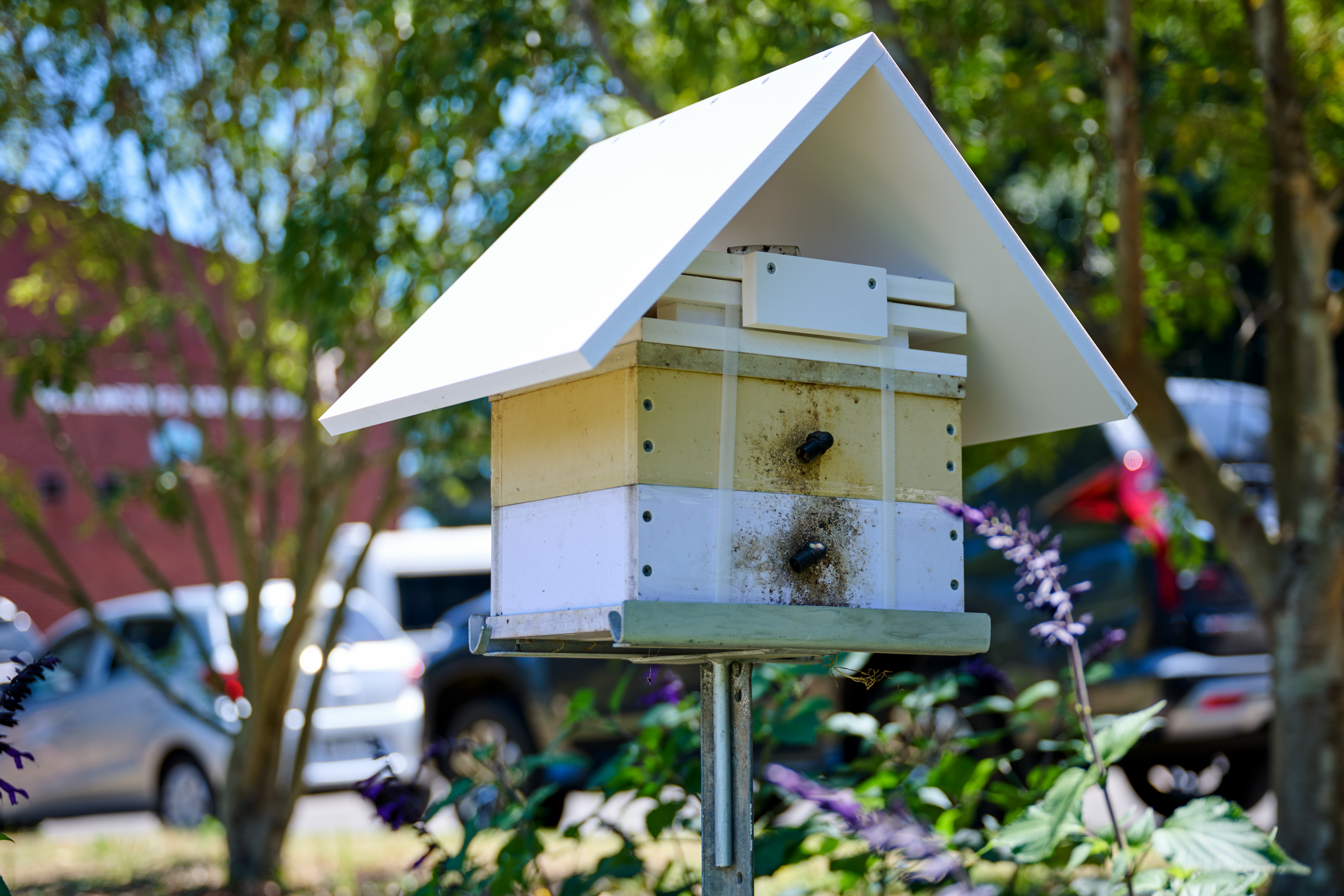 beehive at Warrawong High School