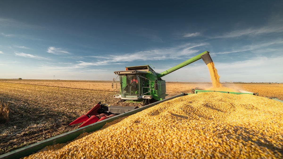 Farm Harvest