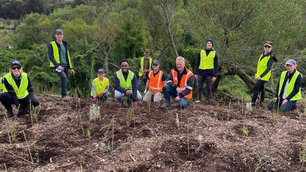 Tree Planting Group Shot 