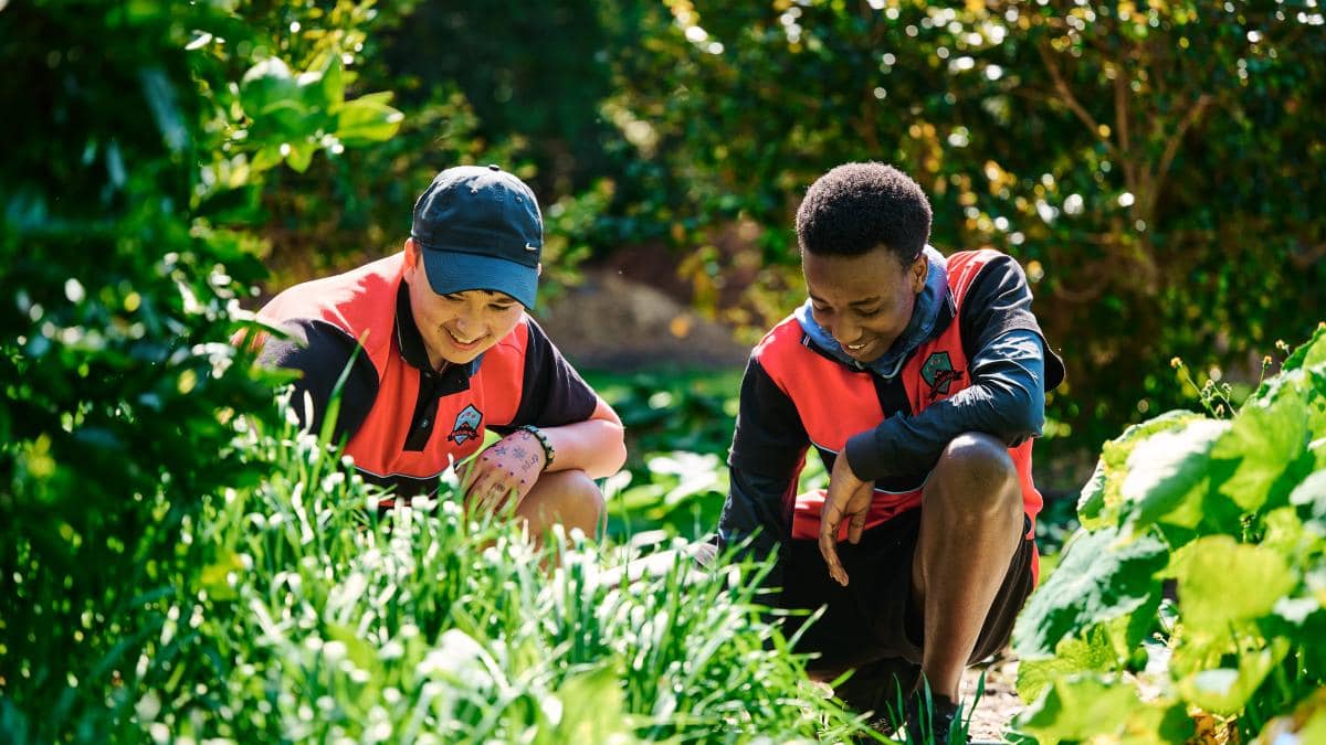 Warrawong High School Grantee 