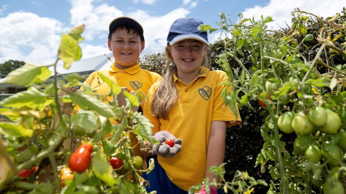 Lake Heights Public School Students in School Garden 