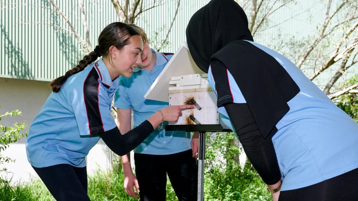 Warrawong High School students in permaculture garden